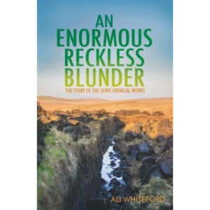 The book cover for An Enormous Reckless Blunder by Ali Whiteford shows a split landscape of rocky terrain under a blue sky.