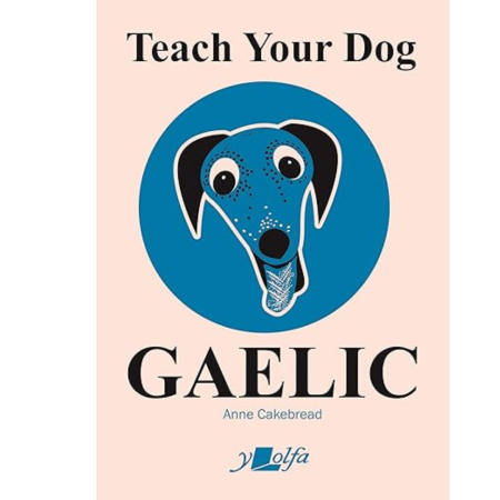 Book cover for Teach your Cat Gaelic, with an illustrated blue cat’s head, tongue out, on a blue circle and pale background.