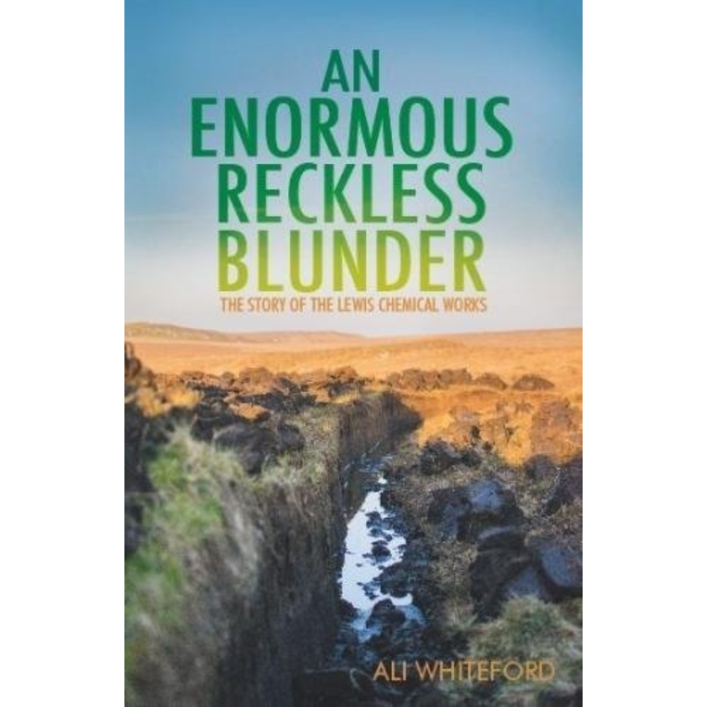 The book cover for An Enormous Reckless Blunder by Ali Whiteford shows a split landscape of rocky terrain under a blue sky.