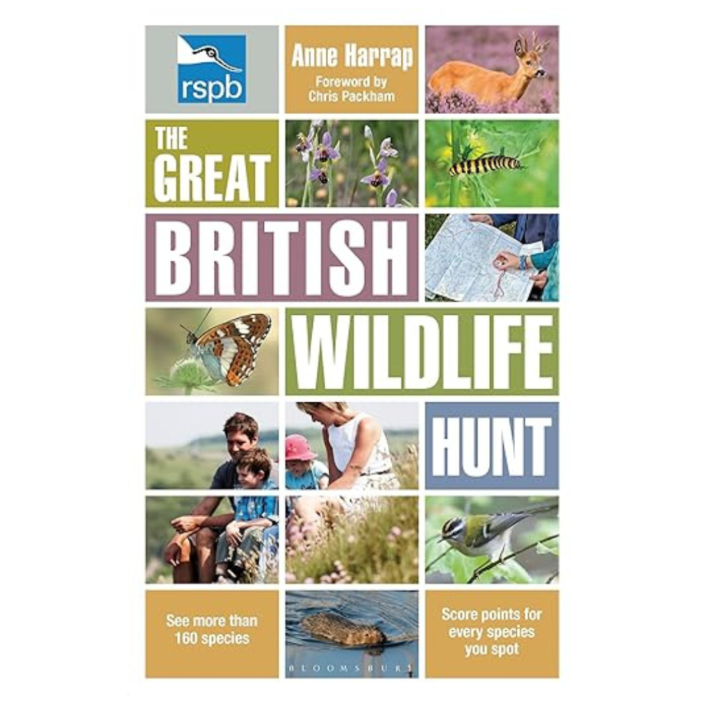 Book cover for The Great British Wildlife Hunt by Anne Harrap, showing wildlife photos of animals, insects, people outdoors; text notes seeing 160+ species and earning points for spotting wildlife.