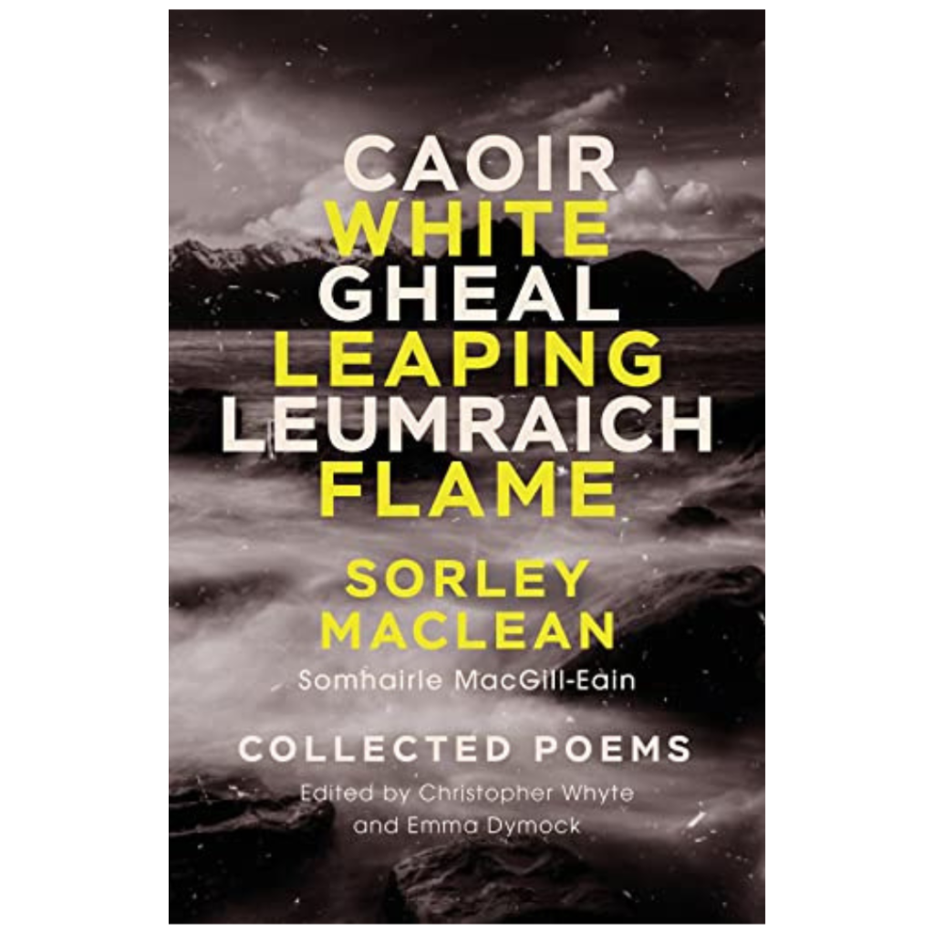 The cover shows a stormy sea and a rocky grayscale coastline, with bold yellow and white text for the title and author’s name.