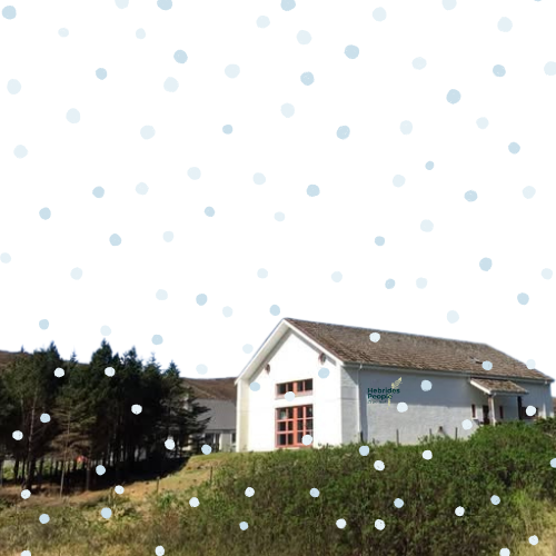 Uncover Your Family’s Legacy This Christmas – Limited Time Offer