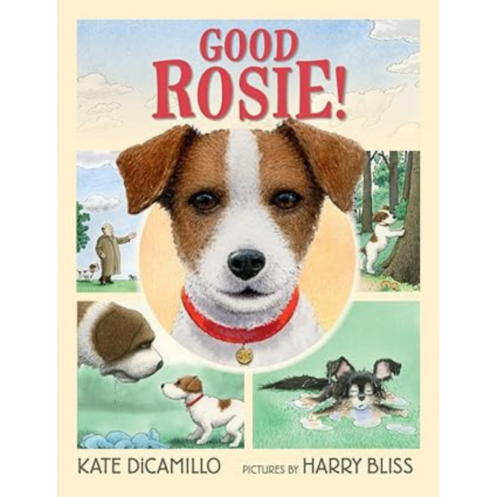 Book cover for Good Rosie! shows a close-up of a brown and white dog with a red collar, with smaller scenes of the dog in activities.