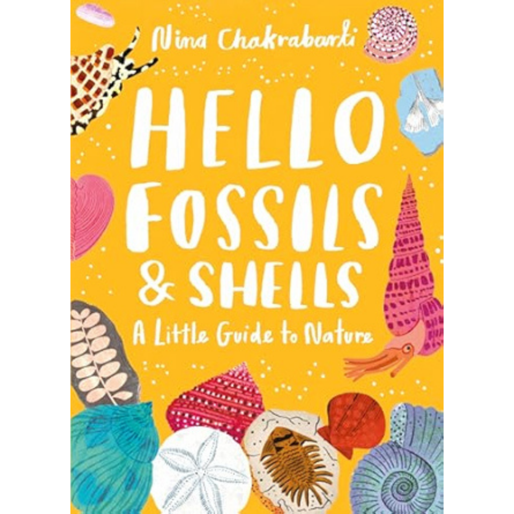 Book cover for Hello Fossils and Shells with illustrations of shells, fossils, sea creatures on a yellow background and white lettering.